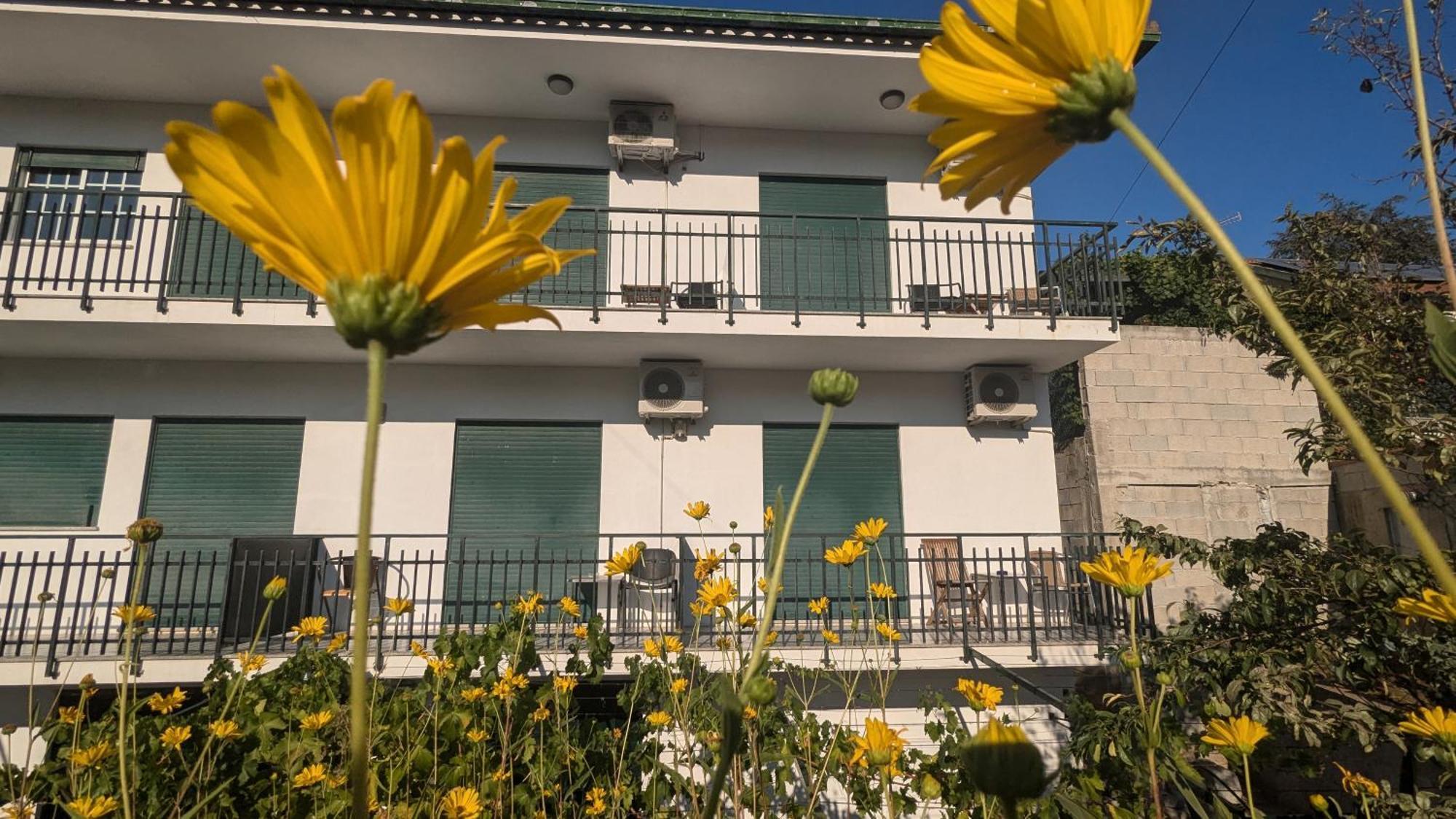 Hotel Casa Do Olival à Peso da Régua Extérieur photo